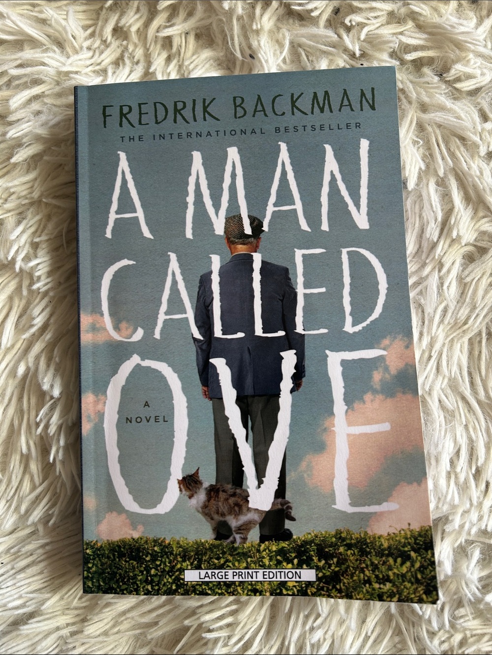 A Man Called Ove by Fredrik Backman - Blue Cover, large print